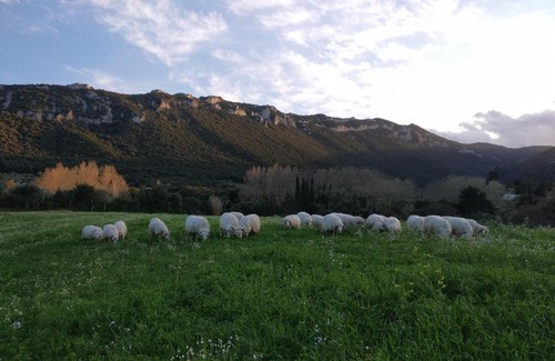 Dorgali Bed & Breakfast | B&B Littu