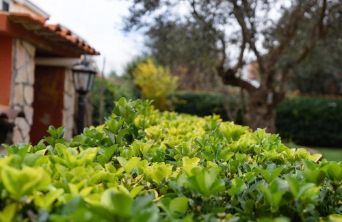Isola Sacra Bed & Breakfast | B&B Mamy