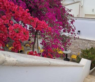 Neviano Bed & Breakfast | B&B Manzoni 2