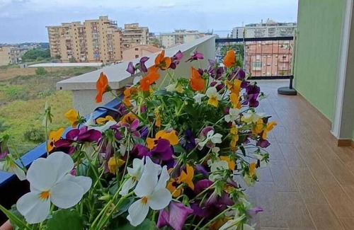 Bagheria Bed & Breakfast | B&B Margherita