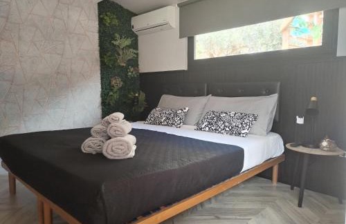 Grisolia Bed & Breakfast | B&B Marino