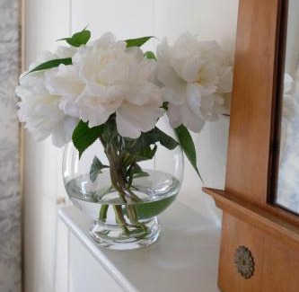 Historical Center Bruges Bed & Breakfast | B&B mybandb