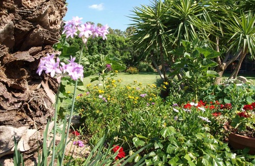 Castiadas Bed & Breakfast | B&B Nel Giardino In Fiore