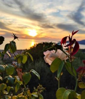 Marina di Ascea Bed & Breakfast | B&B Relais da Clorinda