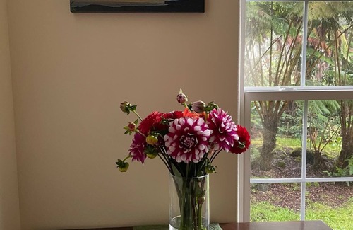 Volcano House | B&B: Royal Orchid Suite mins from Volcanoes National Park