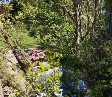 San Defendente Bed & Breakfast | B&B Rubino