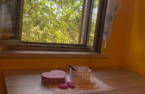 Silvi Paese Bed & Breakfast | B&B Santa Lucia