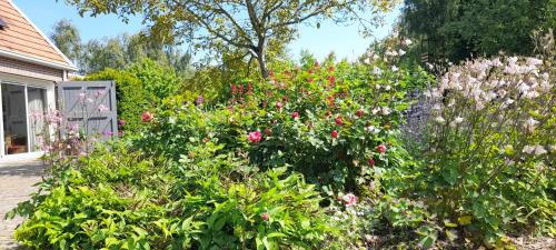 Nieuw- en Sint Joosland Bed & Breakfast | B&B Sonnehuys
