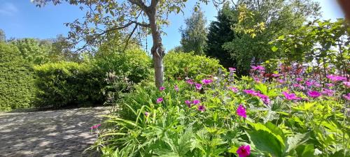 Nieuw- en Sint Joosland Bed & Breakfast | B&B Sonnehuys