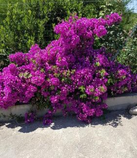 Nuraxi Figus Bed & Breakfast | B&B Su Tintillu