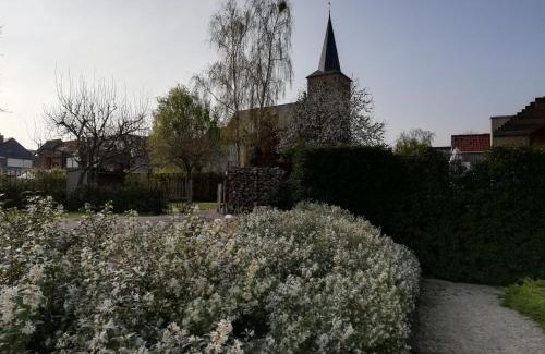 Ename Bed & Breakfast | B&B 't Huys van Enaeme
