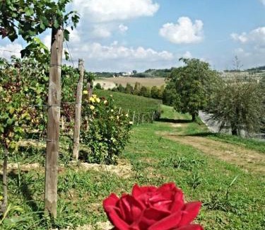 Montiglio Monferrato Bed & Breakfast | B&B Vigneto Pardom