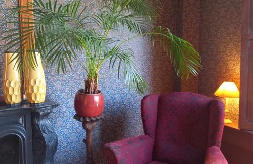 Stadskanaal Bed & Breakfast | B&B Villa de Beuk