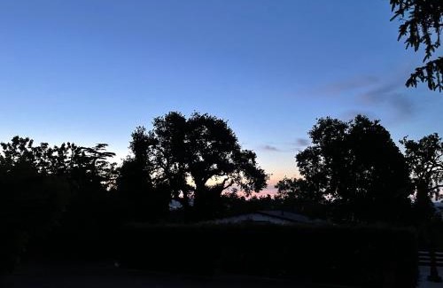 Corridonia Bed & Breakfast | B&B VILLA LUPIDI