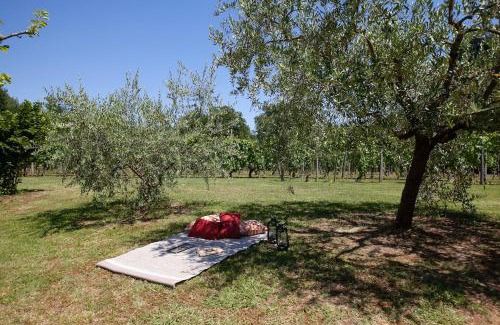 Orentano Apartment | B&G Menconi Edera