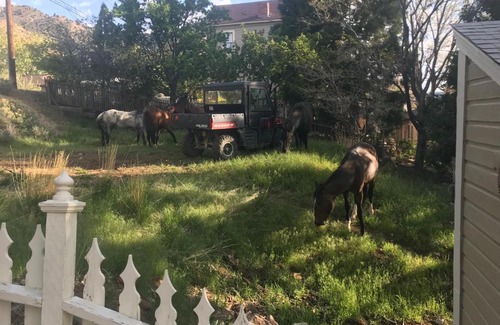 Virginia City Bed & Breakfast | B Street House Inn