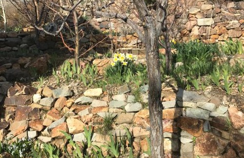 Virginia City Bed & Breakfast | B Street House Inn