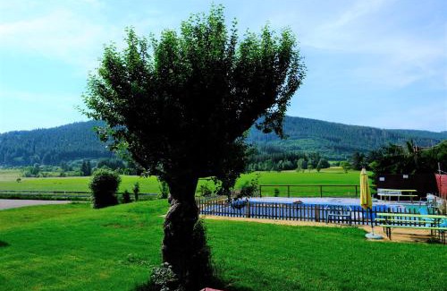 Titisee-Neustadt Hotel | B und B Titisee Hotel Sonnenmatte nahe Badeparadies
