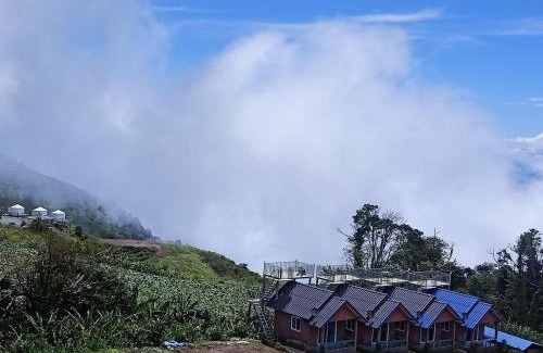Phetchabun Hotel | Baan Phak Plaithang at Phu Thap Buek