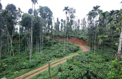 Sakleshpur House | Baanaadi Homestay