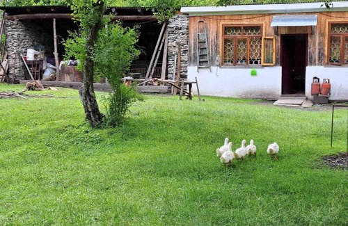 Lentekhi House | Babulia Guest house