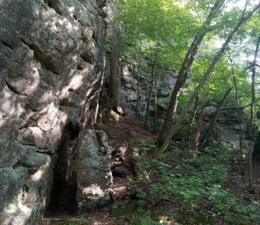 Harrison House | Baca Cabin Near Compton, Ponca, Buffalo River, Trails