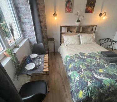 Chasse-sur-Rhone Apartment | BACH studio BALNEO au calme parking gratuit