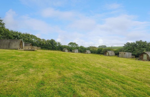 Liskeard Cottage | Badger Set @ Penbugle Organic Farm