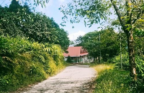 Kurseong House | Bae Lae View Homestay