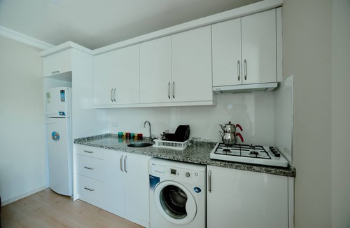 Altınordu Apartment | bagdad