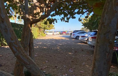 Delray Beach Apartment | Bahama House of Delray Beach