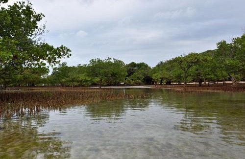 Pangani Resort | Bahari Pori Resort