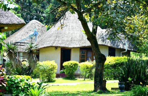 Fort Portal Cabin | Bahundu Safari Lodge