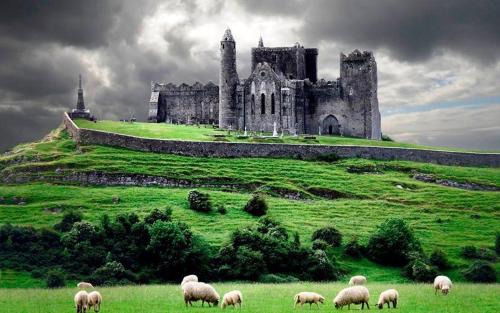 Cashel Hotel | Baileys Hotel Cashel