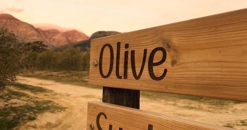Drakenstein House | Bains View Olive and Guest Farm