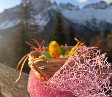 Cibiana di Cadore Hotel | Baita Deona