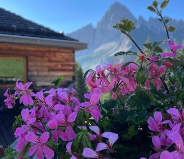Cibiana di Cadore Hotel | Baita Deona