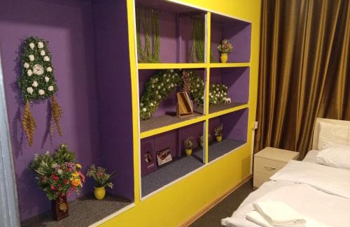 Nasimi Hostel | Baku Express Hostel