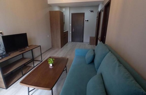 Bakuriani Apartment | Bakuriani Crystal Loft 406