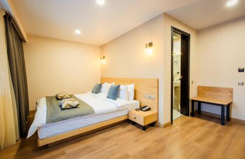 Bakuriani Hotel | Bakuriani Inn