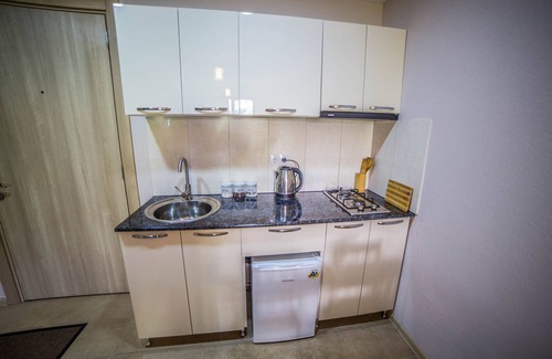 Bakuriani Hotel | BAKURIANI PLAZA B-217