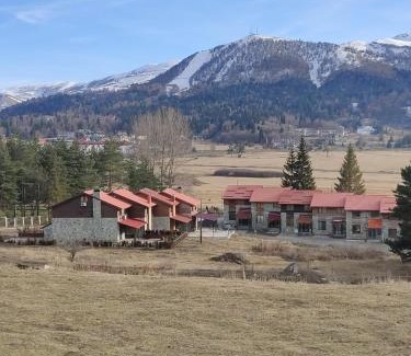 Bakuriani Apartment | Bakuriani Vila Monte