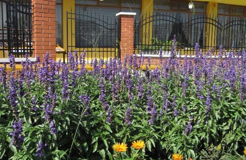 Badacsonytomaj Hostel | Balaton-ko hostel