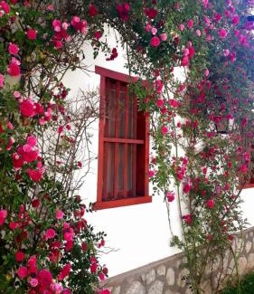 San Carlos House | Balcones de San Carlos - casa Balcones
