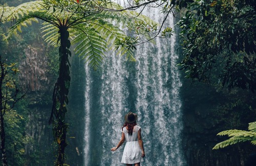 Speewah House | Bali House Rainforest Retreat