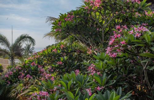 Suraberata Apartment | Balian Surf Villas