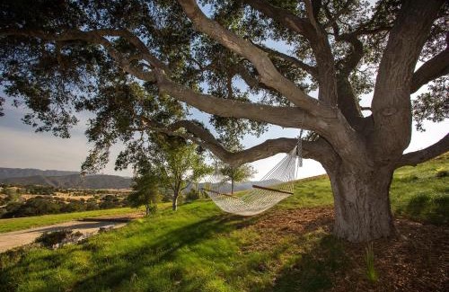 Solvang Villa | Ballard Canyon Ranch by Paradise Retreats