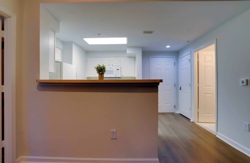 Ballston Apartment | Ballston Apt: Gym, & Modern Living
