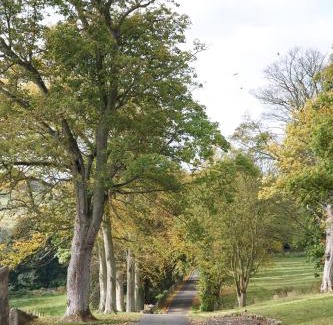 Dunfermline House | Balmule House