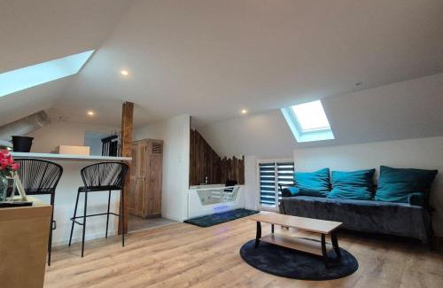 Quartier Saint-Clement - Jardin des Plantes Apartment | Balnéo Nuits Douces Rouen